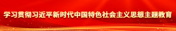 肏白虎逼学习贯彻习近平新时代中国特色社会主义思想主题教育